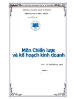Phân tích kế hoạch và chiến lược kinh doanh_Công ty TH True Milk