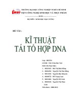 kĩ thuật tái tổ hợp dna