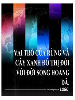báo cáo vai trò của rừng và cây xanh đô thị đối với đời sống hoanh dã