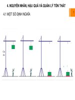 NGUYÊN NHÂN, HẬU QUẢ VÀ QUẢN LÝ TỔN THẤT