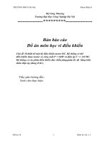 Bản báo cáo Đồ án môn học vi điều khiển thiết kế một bộ điều khiển motor DC