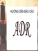 hướng dẫn báo cáo ADR