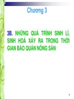 NHỮNG QUÁ TRÌNH SINH LÍ, SINH HOÁ XẢY RA TRONG THỜI GIAN BẢO QUẢN NÔNG SẢN