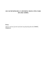 BÀI TẬP MÔ HÌNH HÓA VÀ MÔ PHỎNG TRONG CÔNG NGHỆ HÓA HỌC (065005)