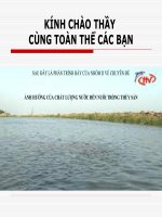 ẢNH HƯỞNG CỦA CHẤT LƯỢNG NƯỚC ĐẾN NUÔI TRỒNG THỦY SẢN