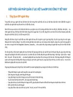 GIỚI THIỆU GIẢI PHÁP QUẢN LÝ LẠC VIỆT SureERP CHO CÔNG TY DỆT MAY