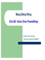mạng băng rộng chủ đề voice over framerelay