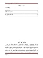 Tiểu luận phương pháp nghiên cứu khoa học User’s perceptions and uses of financial reports of small and medium companies (SMCs) in transitional economies