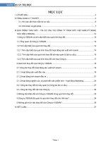 QUÁ TRÌNH THAY ĐỔI – TÁI CƠ CẤU TẠI CÔNG TY TNHH MTV VIỆT NAM KỸ NGHỆ