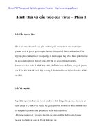 Hình thái và cấu trúc của virus – Phần 1
