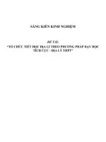 SKKN Tổ chức tiết học Địa lí theo phương pháp dạy học tích cực - Địa lý THPT