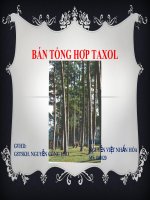 Bài giảng   bán tổng hợp taxol