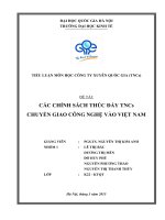 TIỂU LUẬN MÔN HỌC CÔNG TY XUYÊN ĐA QUỐC GIA CÁC CHÍNH SÁCH THÚC ĐẨY TNCs CHUYỂN GIAO CÔNG NGHỆ VÀO VIỆT NAM