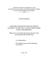 THE EFFECTIVENESS OF USING PICTURES IN TEACHING VOCABULARY AT SMART-KIDS SCHOOL IN BAC NINH PROVINCE