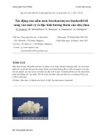 Tác động của nấm men Saccharomyces boulardii bổ sung vào mùi vị và đặc tính hương thơm của sữa chua