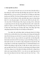 TÓM TẮT LUẬN VĂN NÂNG CAO NĂNG LỰC TÀI CHÍNH CỦA NGÂN HÀNG