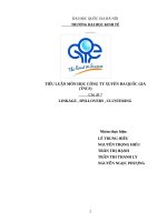 Tiểu luận môn công ty đa quốc gia LINKAGE , SPILLOVERS , CLUSTERING
