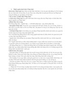 HÌNH THỨC PHÁP LUẬT