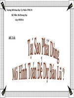 Tại Sao Phải Dùng Mô Hình Toán Để Dự Báo Lũ