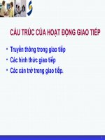 Bài thuyết trìnhCẤU TRÚC CỦA HOẠT ĐỘNG GIAO TIẾP