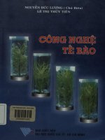 Giáo trình Công nghệ tế bào
