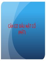 Tài liệu cân cơ đầu mặt cổ (mặt)