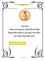 Phân tích nguyên nhân dẫn tới hiện tượng điều hành tỷ giá ngày 18 6 2014