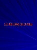 Câu hỏi lượng giá cuối bài