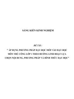 SKKN Áp dụng phương pháp dạy học mới vào dạy học môn Thủ công lớp 1 theo hướng linh hoạt lựa chọn nội dung, phương pháp và hình thức dạy học