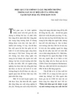 HIỆU QUẢ TÀI CHÍNH VÀ GIÁ TRỊ MÔI TRƯỜNG TRONG SẢN XUẤT BỜI LỜI CỦA NÔNG HỘ TẠI HUYỆN ĐẮK TÔ, TỈNH KON TUM