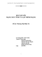 BÀI TẬP LỚN MẠNG MÁY TÍNH VÀ LẬP TRÌNH MẠNG Đề tài Thương Mại Điện Tử