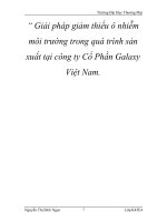 Giải pháp giảm thiểu ô nhiễm môi trường trong quá trình sản xuất tại công ty Cổ Phần Galaxy Việt Nam