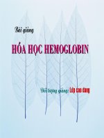 BÀI GIẢNG   hóa học HEMOGLOBIN