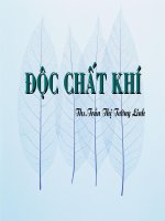 bài giảng  độc chất khí