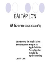BÁO CÁO HỆ ĐIỀU HÀNH ĐỀ TÀI DEADLOCK(KHOÁ CHẾT)