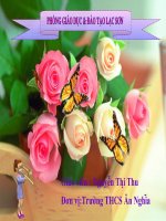 SÁNG KIẾN: LỒNG GHÉP GIÁO DỤC MÔI TRƯỜNG TRONG MÔN GDCD CHO CÁC EM HỌC SINH TRƯỜNG THCS ÂN NGHĨA