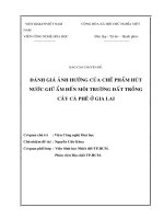 Báo cáo chuyên đề   đánh giá ảnh hưởng của chế phẩm hút nước giữ ầm đến môi trường đất trồng cây cà phê ở gia lai