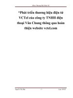 Phát triển thương hiệu điện tử VCTel của công ty TNHH điện thoại Vân Chung thông qua hoàn thiện website vctel.com
