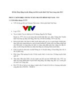 Hoạt động truyền thông của Đài truyền hình Việt Nam VTV 2013