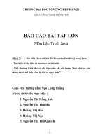 BÁO CÁO BÀI TẬP LỚN Môn Lập Trình Java Tìm hiểu về cơ chế bắt lỗi (Exception Handling) trong Java