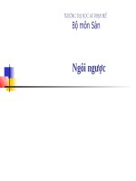 slide bài giảng về ngôi ngược