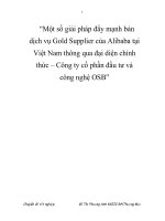Một số giải pháp đẩy mạnh bán dịch vụ Gold Supplier của Alibaba tại Việt Nam thông qua đại diện chính thức – Công ty cổ phần đầu tư và công nghệ OSB
