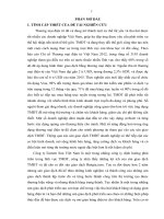 giải pháp thu hút khách hàng sử dụng dịch vụ mở gian hàng điện tử trên website www.bietgia.com