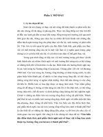 Tìm hiểu đặc điểm hình thái, giải phẫu thích nghi một số thực vật trồng làm cảnh thuộc họ Xương rồng (cactaceae) ở thành phố Huế