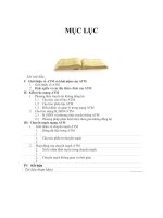 nghiên cứu hệ thống ATM và ứng dụng ATM trong mạng cục bộ (ATM-LAN)