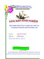 SKKN MỘT SỐ BIỆN PHÁP NÂNG CAO HIỆU QUẢ CÔNG TÁC XÃ HỘI HOÁ Ở TRƯỜNG MẦM NON PHÚC LÂM