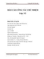 BÁO CÁO CÔNG TÁC CHỦ NHIỆM TIỂU HỌC PHÚ HÒA BÌNH DƯƠNG (Báo cáo thực tập sư phạm)