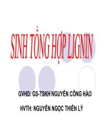 Bài giảng   sinh tổng hợp LIGNIN