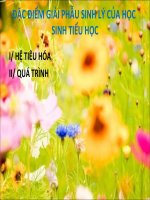 ĐẶC ĐIỂM GIẢI PHẪU SINH LÝ CỦA HỌC SINH TIỂU HỌC