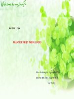 Tiểu luận phân tích nhiệt trọng lượng